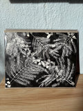 Untitled Composition 2