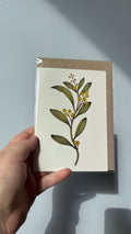 Australian Blackwood Greeting Card