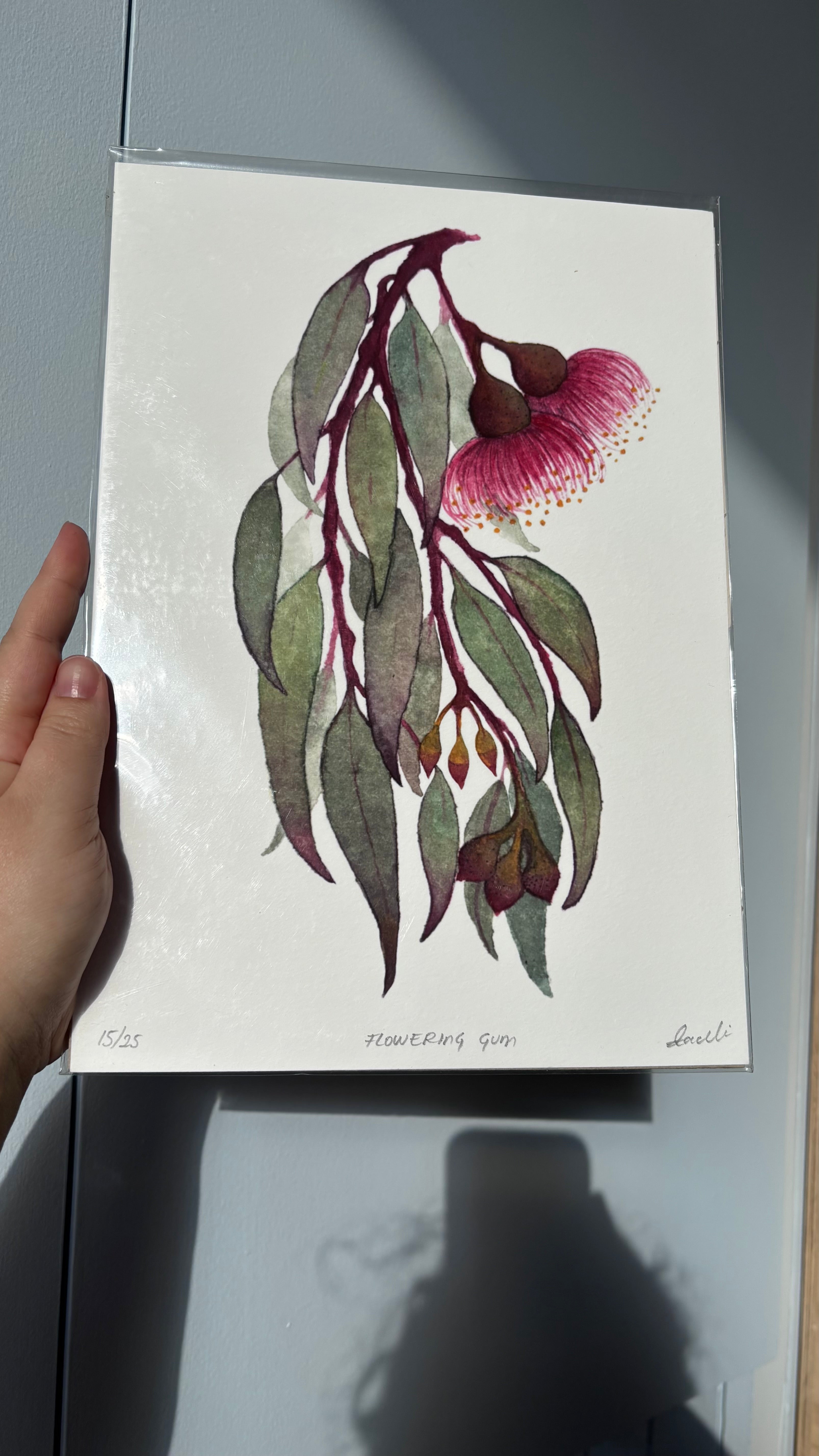 Flowering Gum Print