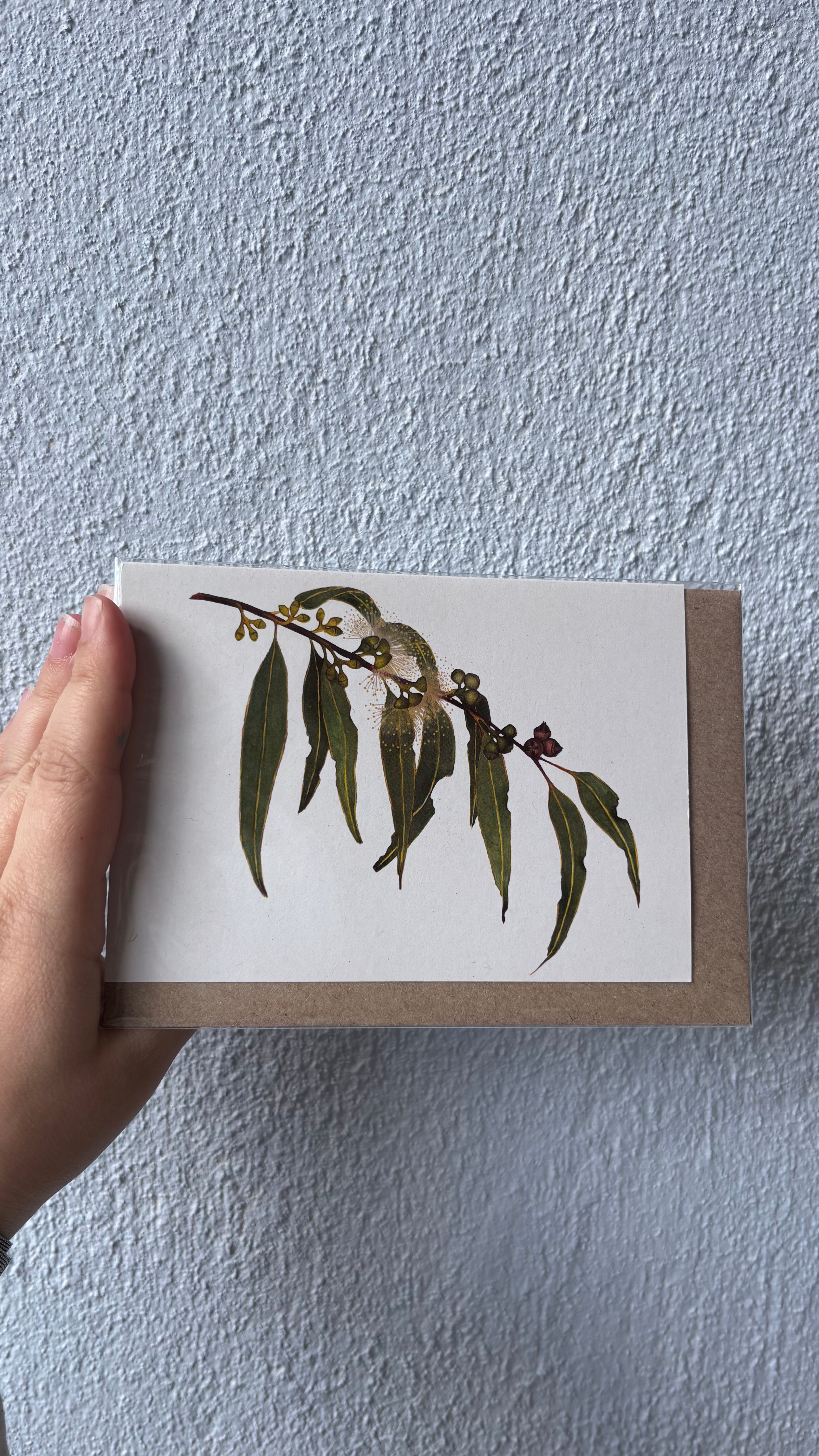 Manna Gum Greeting Card