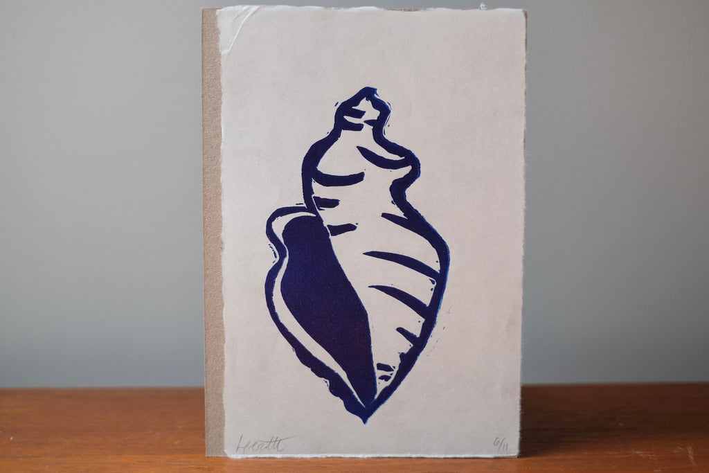 Conchiglie (sea shell)