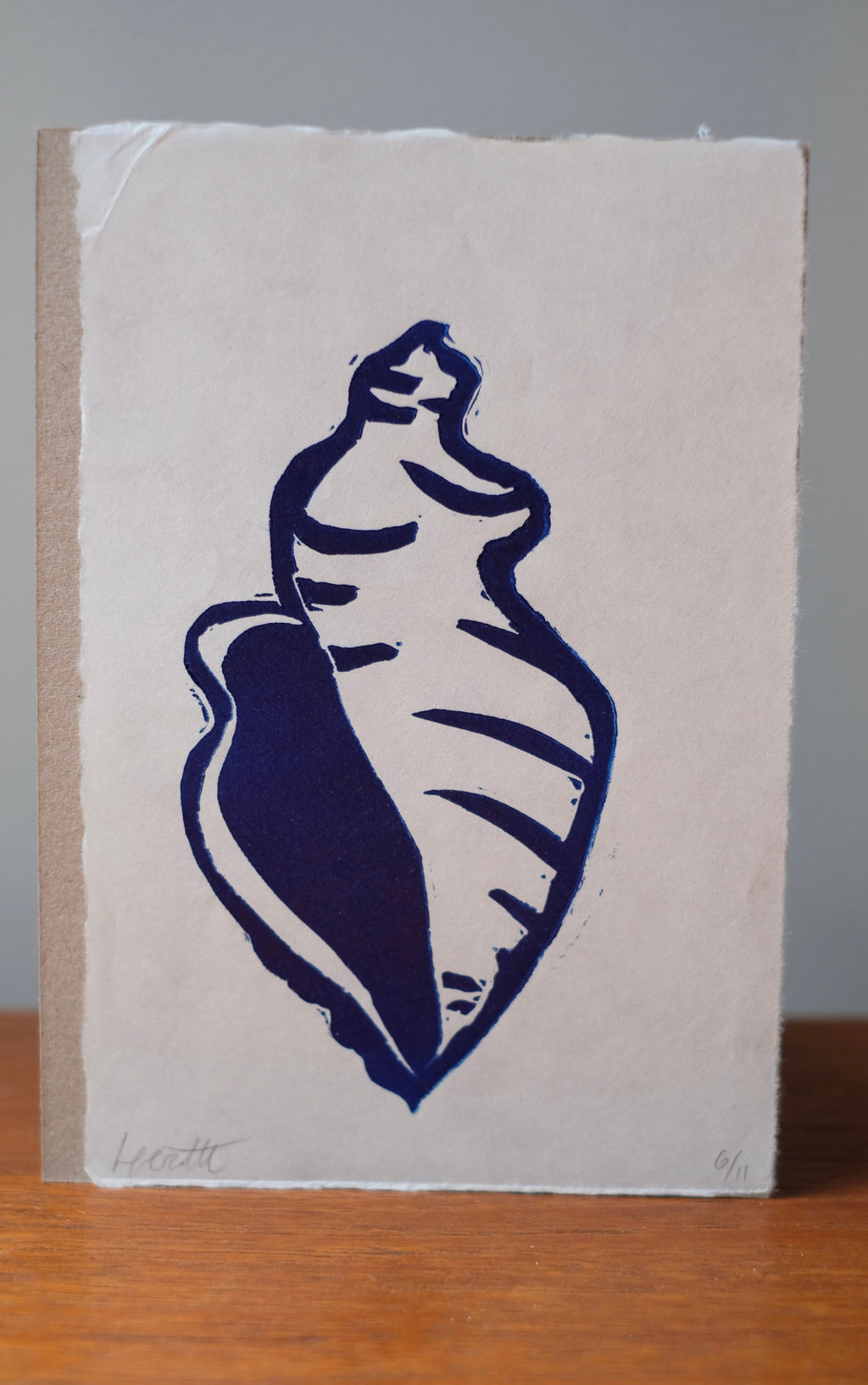 Conchiglie (sea shell)