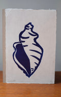 Conchiglie (sea shell)